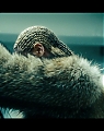 Beyonce_-_LEMONADE_-_Video_TS0036.jpg